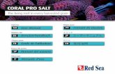 CORAL PRO SALT - 5w56d28u4co20frgwagf5y18 … · Nunca mezclar la sal en un acuario que contenga animales. Utilizar siempre utensilios no tóxicos y limpios. ... Non miscelare mai