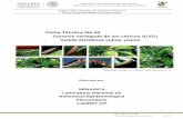 Ficha Técnica No - Comité Estatal de Sanidad Vegetal de ... · DE LA PLAGA ... injerto como C. limonia, C. reshni y C. volkameriana (CABI, 2012). 1). Distribución nacional de hospedantes