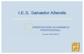 I.E.S. Salvador Allendeiessalvadorallende.es/files/Dptos/Dpto Orientacion/Orientación... · - Repetir 4º ESO ordinario o dentro del Programa de ... enseñanzas en el Centro Educativo,