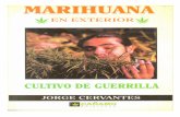 Marihuana en Exterior Cultivo de Guerrilla (spanish) … · 2016-02-23 · Marihuana en exterior Cultivo de guerrilla Jorge Cervantes Marihuana en exterior: Cultivo de guerrilla Jorge