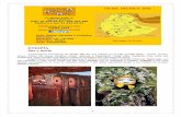 ETIOPÍA Sur y norte - culturafricana.com · una pasta rojiza hecha con grasa animal y arcilla y las ... de Mago creado en 1974 para proteger a los elefantes y a las ... deben arrancarse