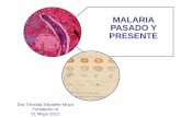 MALARIA PASADO Y PRESENTE - Fundación iofundacionio.org/docs/contenidos/trinidad_sabalete_II_curso_malaria... · P. falciparum P. ovale P. vivax P. malariae P. knowlesi Clase Aconoidasida
