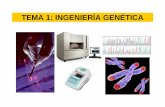 TEMA 1: INGENIERÍA GENÉTICA - wpd.ugr.eswpd.ugr.es/~rnavajas/wp-content/uploads/2017/03/TEMA_1_GII.pdf · absolutely pleased with my good luck and clever brain, and being mildly