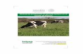 Manual de producción de ganado lechero en el Estado de … · Proceso: Manejo reproductivo del ganado lechero . . . . Subproceso 1. Supervisión de las etapas y eventos ... principalmente
