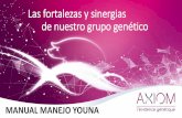 Las fortalezas y sinergias de nuestro grupo genéticoyouna.es/wp-content/uploads/2014/10/MANEJO YOUNA.pdf · Energía Neta Kcal/Kgs 2.270-2.390 2.150-2.270 2.220-2.340 ... En este