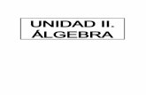 ELEMENTO DE COMPETENCIA 2: ÁLGEBRA … · conocidas, representadas por números, y cantidades desconocidas, representadas por letras o símbolos, se conoce como Álgebra. La representación