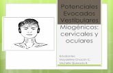 Potenciales Evocados Vestibulares Miogénicos: cervicales … · Cervicales Prueba objetiva, no invasiva, rápida, fácil de realizar y cómoda para el paciente. Determina el funcionamiento