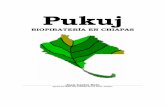 Pukuj - Inicio - Otros Mundos Chiapasotrosmundoschiapas.org/analisis/BCEPCGMAYA.pdf · Su interpretación y uso son responsabilidad del lector. 3 ... (Caso de Estudio) 1) ... Citemos