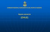 (CHILE) - iho.int · Actividades de Creación de Capacidades desde la última reunión ... Nuevas cartas (INT, nacionales y ENC) ... Río Valdivia 6241 / 6251 / 6253 / 6254 Punta