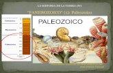 PALEOZOICO - japt.esjapt.es/paleo/4_PALEOZOICO.pdf · Se inicia y termina con extinciones masivas (con radiación adaptativa) Inicio: extinción fin Cámbrico Glaciación al final: