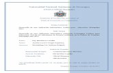 Universidad Nacional Autónoma de Nicaragua · Título de Licenciado en Computación. Tema General Desarrollo de una Aplicación Informática ... para retoques de imagen Adobe ...