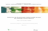 Informe de Evaluación Intermedia Grupo de Diálogo …rimisp.org/wp-content/files_mf/1447353552GDRIntermediaMexico.pdf · “Documentos consultados”), junto con entrevistas a profundidad