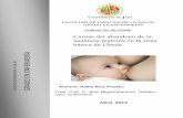 Causas del abandono de la lactancia materna en la …tauja.ujaen.es/bitstream/10953.1/1311/1/TFG_RuizPoyato,Pablo.pdf · Cambios sociológicos: ocurridos en la era ... contribuyen