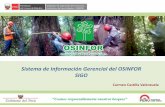Sistema de Información Gerencial del OSINFOR SIGO OSINFOR.pdf · los recursos forestales y de fauna silvestre por los títulos ... conservación, ecoturismo, otros productos forestales