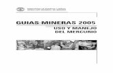 GUIAS MINERAS 2005 - minem.gob.pe · Los Pequeños Productores Mineros (PPM) y los Productores Mineros Artesanales (PMA) trabajan generalmente en piques desde la superficie. Algunas