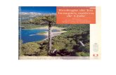 Armesto et al Ecol de los Bosques - chile.unt.educhile.unt.edu/sites/chile.unt.edu/files/catalogue/pdf/Armesto_et_al... · Santiago Chile, en el de marzo de 1996. ... *Incluye especies