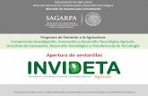 Presentación de PowerPoint - gob.mx · Dirección de Insumos para la Producción ... transformación o comercialización de alimentos. ... productores interesados y se justifique