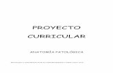PROYECTO CURRICULAR - IES Luis Buñuel de …ieslbuza.es/wp-content/uploads/2015/04/CFGS-Anatomia.pdf · REVISADO Y APROBADO POR EL DEPARTAMENTO CURSO 2015/ 2016 . PROYECTO CURRICULAR