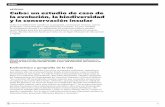 Cuba ARTÍCULO Cuba: un estudio de caso de la … · el Caribe es un excelente ejemplo de radiación adaptativa. Muchas especies de estos lagartos, algunas endémicas de Cuba, residen