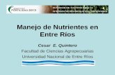 Manejo de Nutrientes en Entre Ríos - IPNIlacs.ipni.net/ipniweb/region/lacs.nsf/0... · 1,0 2,0 3,0 4,0 5,0 6,0 7,0 0 20 40 60 80 100 120 140; Número de Muestra K (% de la CIC) ...