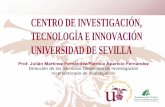 CENTRO DE INVESTIGACIÓN, TECNOLOGÍA E …investigacion.us.es/docs/web/files/sgi2012espanol.pdf · estereoquímica. TÉCNICAS • Espec ... investigadores en el ámbito de la ...