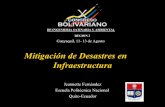 Mitigación de Desastres en Infraestructura · Bolivia Guatemala Rep. Dom. Costa ... – Cambio del sitio de salida del agua en manantiales ... Mitigación de Desastres en Sistemas