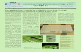 ASOCIACIÓN ENTOMOLÓGICA DE ASTURIAS - entomologia…entomologia.net/aea/N3V1.pdf · 2 Resumen: Importancia de la entomología forense en nuestra socie- dad. Su historia. Insectos