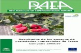 RAEA Resultados de los ensayos de variedades comerciales de Fresa ... · sistema de cultivo en la producción y en la calidad de los frutos de fresa, de las variedades mayoritariamente