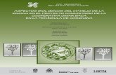 ASPECTOS BIOLÓGICOS DEL MANEJO DE LA IGUANA … · uicn unión mundial para la naturaleza aspectos biolÓgicos del manejo de la iguana en el proyecto comunitario de la cooperativa