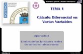 TEMA 1 Cálculo Diferencial en Varias Variablesproyectomentor-upm.wdfiles.com/local--files/apuntes-1/T1_A2_li... · Límites de las funciones reales de varias variables reales TEMA