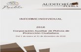 INFORME INDIVIDUAL 2016 - auditoriapuebla.gob.mx · Corporación Auxiliar de Policía de Protección Ciudadana Del 1 de enero al 31 de diciembre de 2016 ... Estado de Puebla, publicado