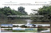 Prroggrr aamma CCoonnjjunnttoo … aspectos... · acciones de mitigación en la cuenca del río Chucunaque. Esto se puede traducir que nuestro país está encaminado a realizar estudios