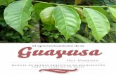 Guayusa - Fundacion Chankuapchankuap.org/wp-content/uploads/2014/03/Manual-de-buenas-practica… · La 2 3 Guayusa ˜ Guayusa La guayusa –Ilex guayusa– es un planta nativa de