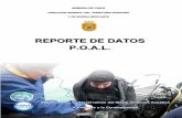 REPORTE DE DATOS P.O.A.L. - directemar.cl · armada de chile direcciÓn general del territorio marÍtimo y de marina mercante reporte de datos p.o.a.l.