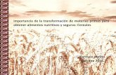 Importancia de la transformación de materias primas para ...ilsinorandino.org/wp-content/uploads/sites/16/2016/12/Cereales... · arroz, cebada, centeno, avena, triticale y teff).