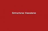 Estructuras Vasculares - XXX Congreso Nacional de la …seram2010.seram.es/modules/posters/files/estructuras_vasculares.pdf · La hipoplasia de alguno de los componentes del polígono