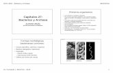 Capítulos 27: Bacterias y Archaea - academic.uprm.eduacademic.uprm.edu/fbird/Biol 3052/3052-2016-cap-27-ppt.pdf · algunas eubacterias • Bajo condiciones adversas de estrés en