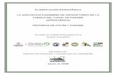 PLANIFICACIÓN ESTRATÉGICA LA ASOCIACION PANAMEÑA DE PRODUCTORES DE LA ... · mejoramiento de la cuenca hidrográfica del Canal de Panamá. Sus miembros diversifican la producción