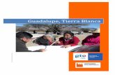 Tierra Blanca Guadalupe - Portal de Información Social ... · Guadalupe,!Tierra!Blanca! Padrón!dePueblos!y!Comunidades!Indígenas!del!Estadode!Guanajuato! 2!! Presentación! ! Créditos!