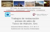 Presas de Jales Taxco - camimex.org.mx · P9 : Sedimentador Sistema de Tratamiento Pasivo Tiempo de ... específico, material de soporte que eleve el pH y arreglo estructural que