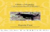 Taller de Conservación de la Danta de Montaña r - tapirs.orgtapirs.org/wordpress/wp-content/uploads/2017/03/2004-Mountain... · Taller de Conservación de la Danta de Montaña (Tapirus