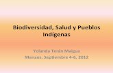 Biodiversidad,SaludyPueblos Indígenas · • “Para!los!Pueblos!Indígenas!del!Ecuador,!la! Pachamama, es!una!madre,!ella!no!es!una!mercancía! que!esta!a!la!venta ... minerales#de#interés#vital#desde#el#punto#de#