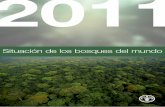 Situación de los bosques del mundo - fao.org · creación de medios de vida sostenibles y a la reducción de la pobreza. Situación de los bosques del mundo 2011 FAO. ... temas cruciales
