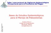 Bases de Estudios Epidemiológicos para el Manejo de ...langif.uaslp.mx/documentos/presentaciones_internacionl/01/d3_p1... · Conceptos y Principios Epidemiológicos Author: COLEGIO