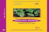 Helechos Nativosaplicaciones.fia.cl/valorizacion/docs\29_21_Libro_ HelechosNativos.pdf · Producción de Helechos Nativos FIA - Valorización de resultados - 21 2 Resultados y Lecciones