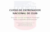 CURSO DE ENTRENADOR NACIONAL DE CLUB - … club_ffbb... · Tiene forma de piramidal invertida Posición lateralizada izquierda (2/3 partes del tórax) ... Flexionar el brazo junto
