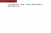CURSO DE MICROSOFT ACCESS 2000 · Web viewSi lo desea, el asistente también puede sumar, contar y obtener el promedio de los valores de grupos de registros o de todos los registros
