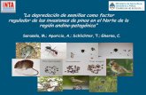 La depredación de semillas como factor regulador de …jornadasforestales2013.unpa.edu.ar/sites/jornadasforestales2013... · - conocer los niveles de depredación y los factores