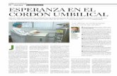 C2 cover story LA próximA pAnACEA EspEranza En El …archivo.eluniversal.com.mx/graficos/especial/taller/trabajos/s... · junto a la tarjeta un tríptico in-formativo de la empresa
