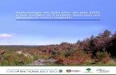 Epidemiología del daño foliar del pino (DFP) y ciclo ...pgodoy/proyecto_patfor_f_A.pdf · Resumen del Proyecto 3. ... principalmente en la Provincia de Arauco, en algunos sectores